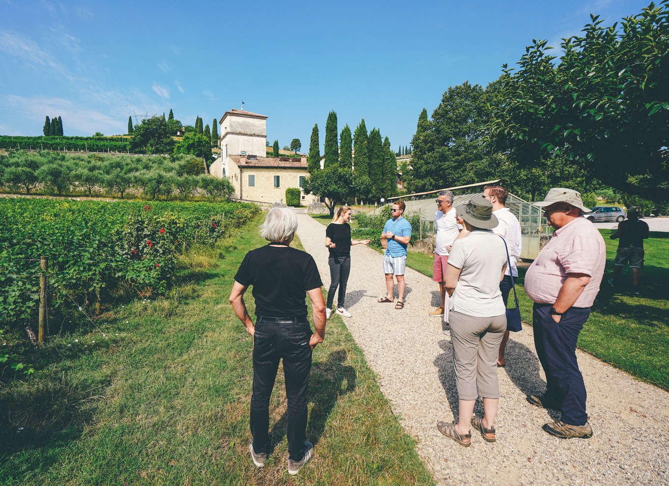 Fra Verona: Valpolicella og Amarone vinsmagningstur