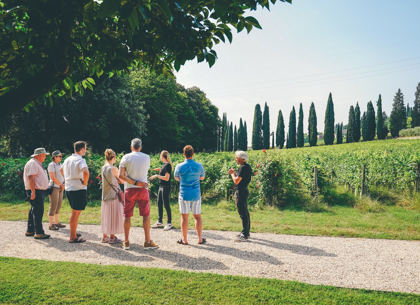 Fra Verona: Valpolicella og Amarone vinsmagningstur