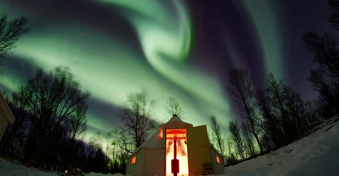 Tromso: Overnight Lavvo stay with Fjords, Whales & Aurora