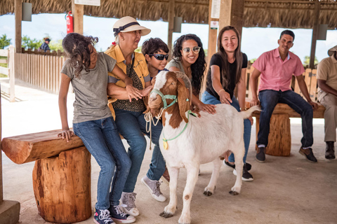 Punta Cana : Aventure Safari dans l'Eco Park