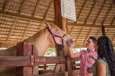Aventura no Eco Park Safari