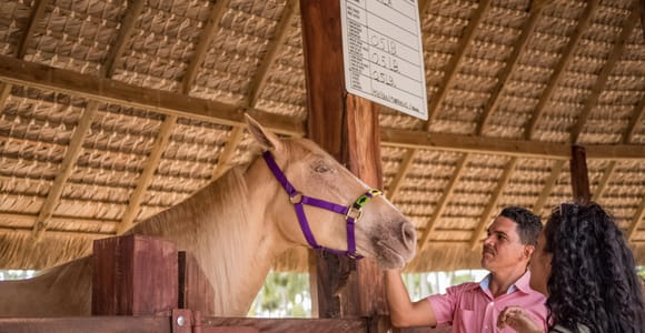 Punta Cana: Eco Park Safari Adventure