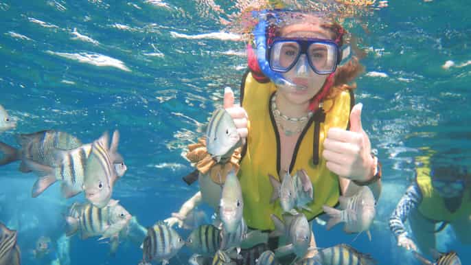 depuis playa del carmen snorkeling à cozumel