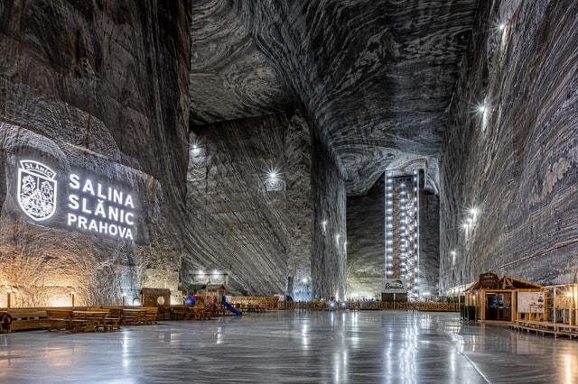 From Brasov: Bear Sanctuary & Slanic Salt Mine + Tickets
