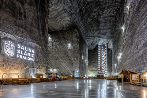 From Brasov: Bear Sanctuary & Slanic Salt Mine + Tickets Slănic Salt Mine Only