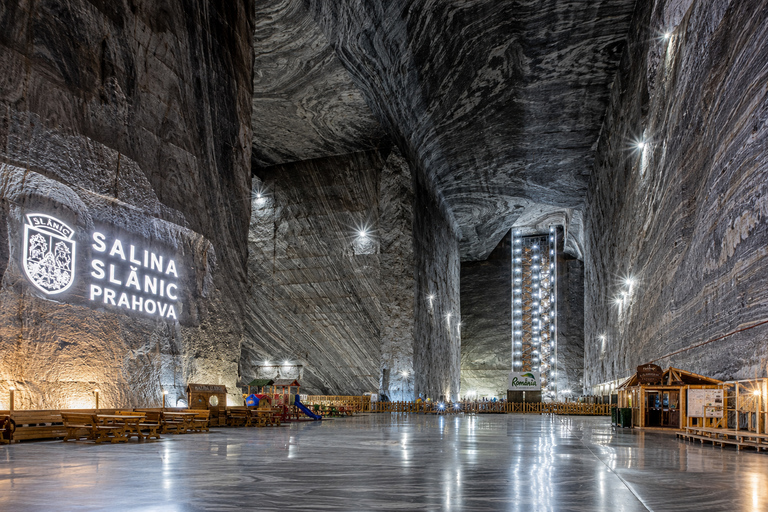 From Brasov: Bear Sanctuary & Slanic Salt Mine + Tickets Slănic Salt Mine Only
