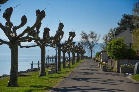Lausanne, Montreux und Chillon: Privatreise ab Genf