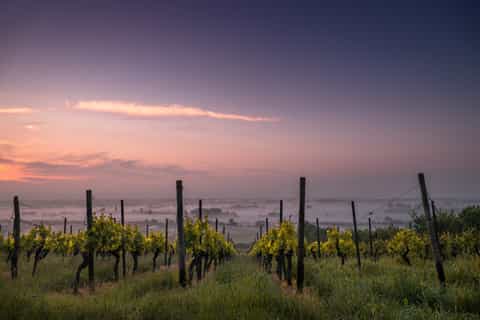budapest tokaj di tutto il giorno la prima regione del vino chiuso al mondo