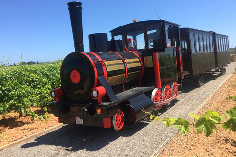 Bodegas Vi Rei: visita à vinha e passeio de comboio com degustação de vinhosTour guiado em alemão