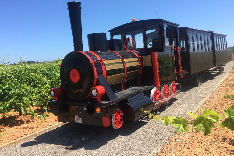 Bodegas Vi Rei: visita à vinha e passeio de comboio com degustação de vinhosTour guiado em alemão