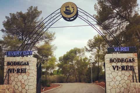 Bodegas Vi Rei: Vineyard and Train Tour with Wine Tasting