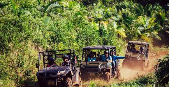 Mauritius: Bel Ombre Nature Reserve Buggy Tour
