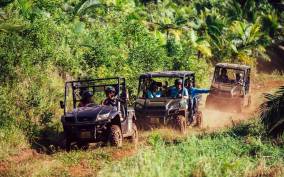 Mauritius: Bel Ombre Nature Reserve Buggy Ride