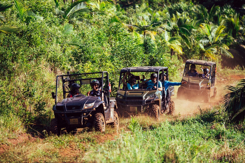 Mauritius: Rezerwat przyrody Bel Ombre Buggy RideMauritius: Bel Ombre Reserve Eco-Buggy Ride