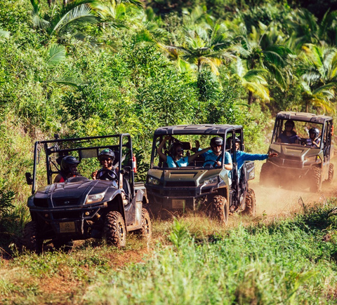 Safaris & wildlife activities