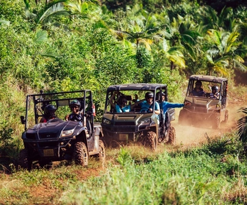 Maurice : Visite en buggy de la réserve naturelle de Bel Ombre