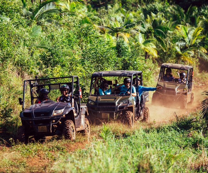 Mauritius: Bel Ombren luonnonsuojelualue Buggyn ajelu
