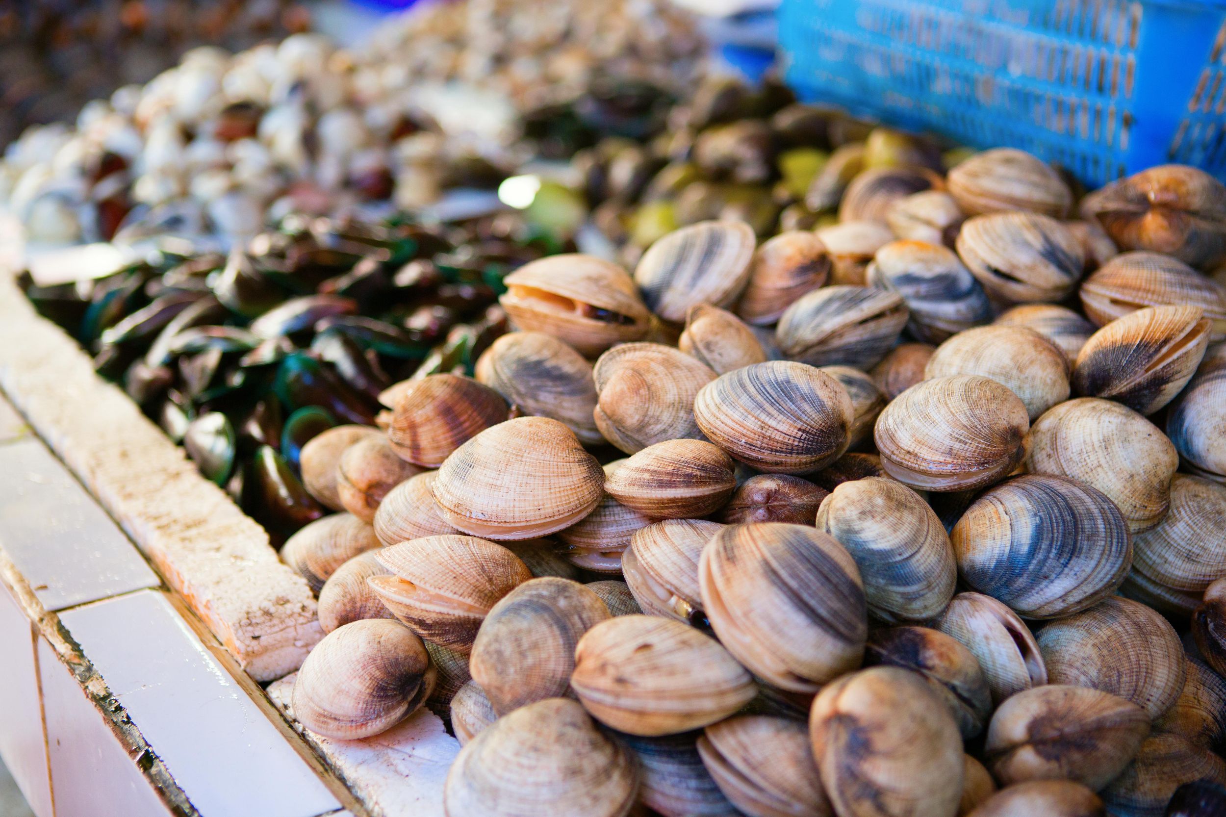 Ischia: Markt Tour & Kochkurs bei einem Einheimischen