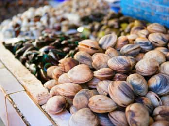 Ischia: Market Tour & Cooking Class at a Local's Home