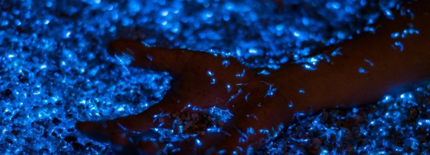Пхи-Пхи: частный тур на лодке с закатом и биолюминесцентным планктоном