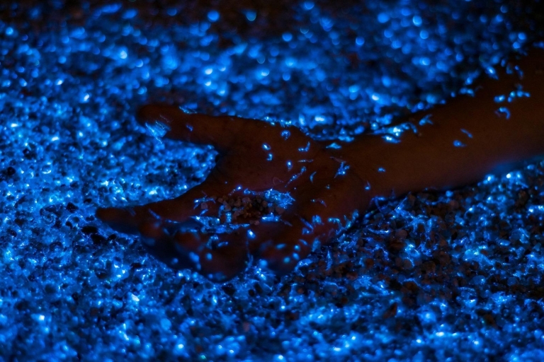 Phi Phi: privérondvaart bij zonsondergang en bioluminescent plankton
