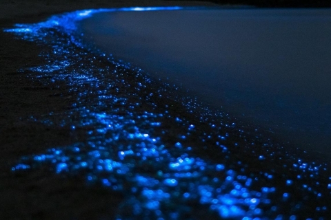 Phi Phi: privérondvaart bij zonsondergang en bioluminescent plankton