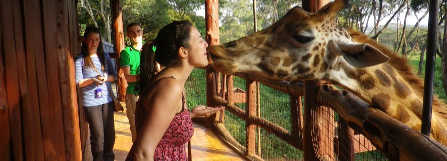 Nairobi: Full-Day All-Inclusive Multi-Park Safari Experience