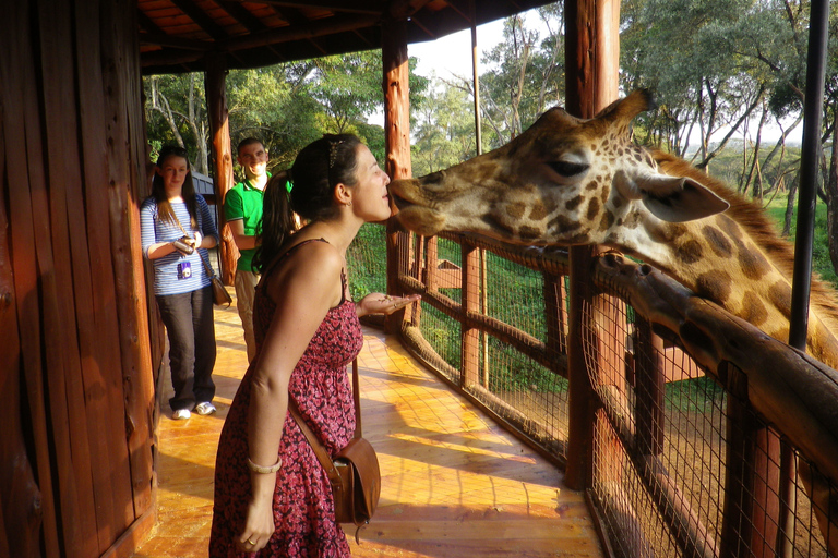 Nairóbi: Parque Nacional, Santuário de Elefantes e Centro de GirafasParque Nacional, girafas e passeio de elefante bebê - sem taxas