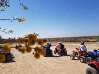 De, Marrakech, Lalla Takerkoust Lake Quad Bike Experience - Hizvo