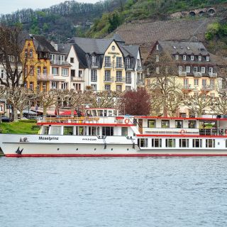 Cochem: Panoramic City Cruise Options on Moselle River