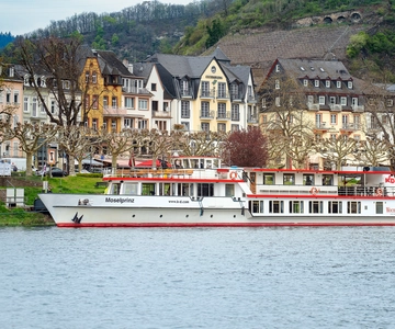 Cochem: Panoramic Cruise on the Moselle River