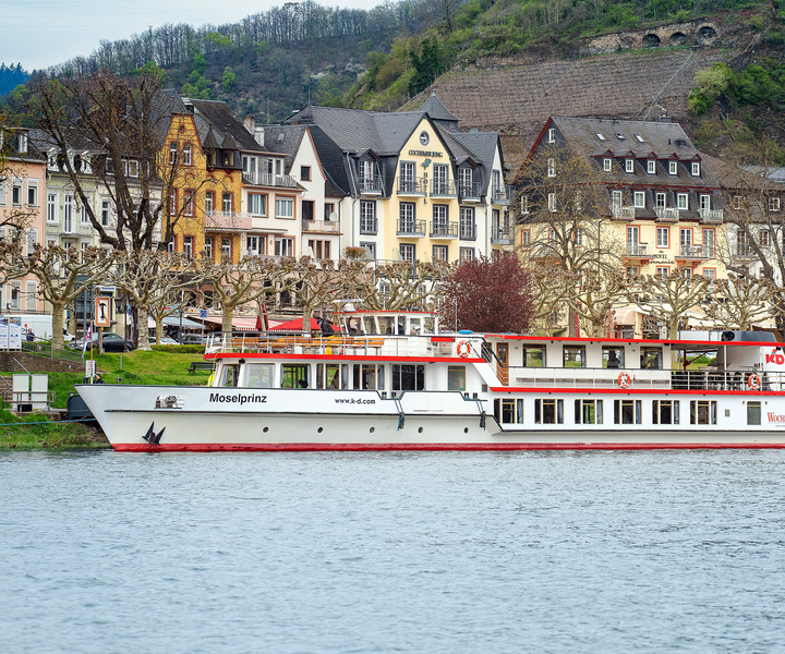Cochem: Panoramic Cruise on the Moselle River
