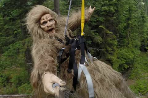 惠斯勒:北美最长的zipline