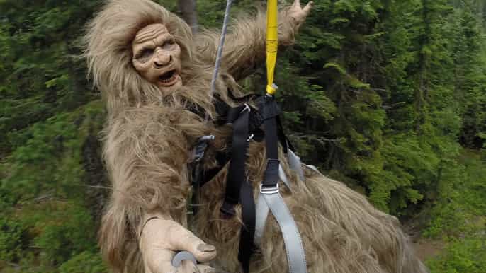 whistler the longest zipline in north america
