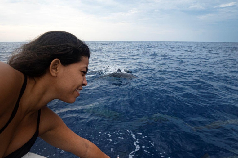Huatulco: croisière en bateau avec des étoiles et des dauphins