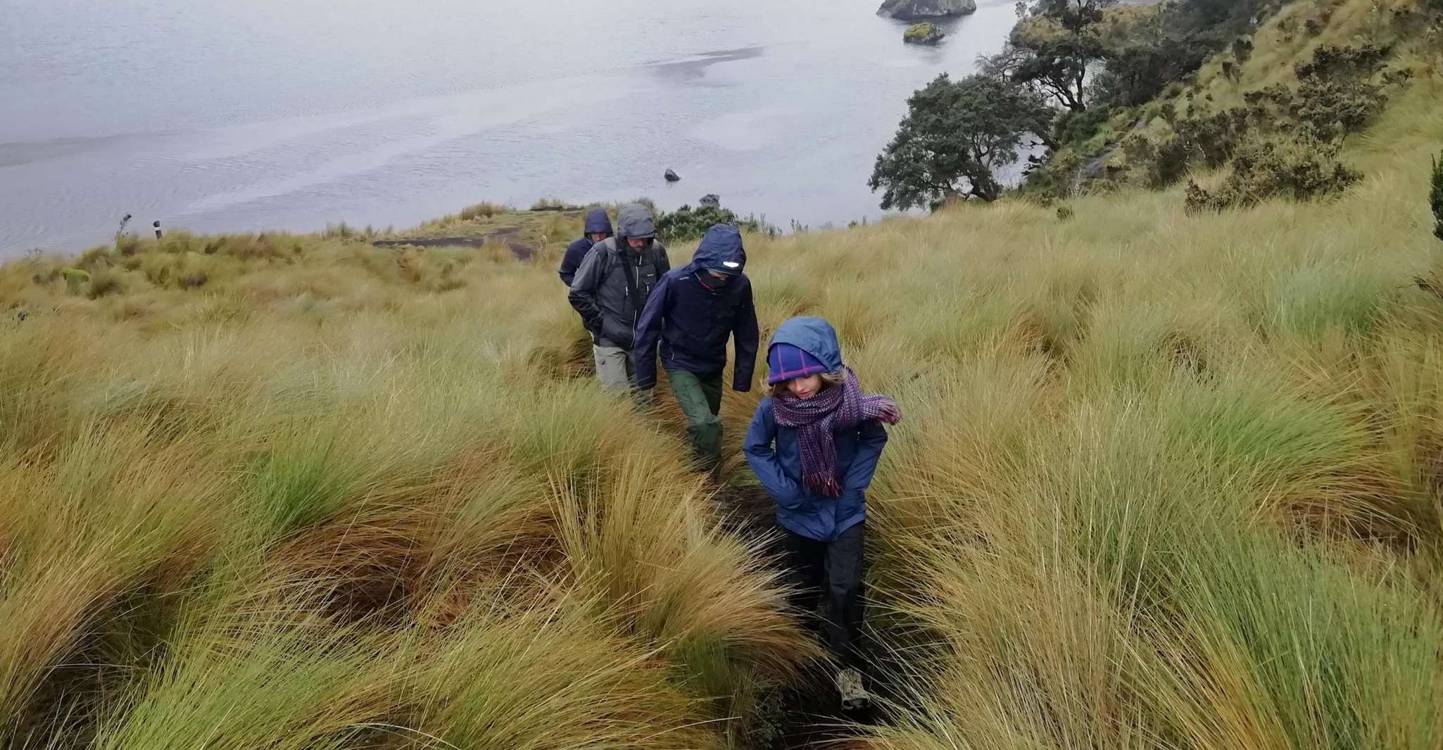 Cuenca, Ecuador, Cajas National Park Day Trip - Housity