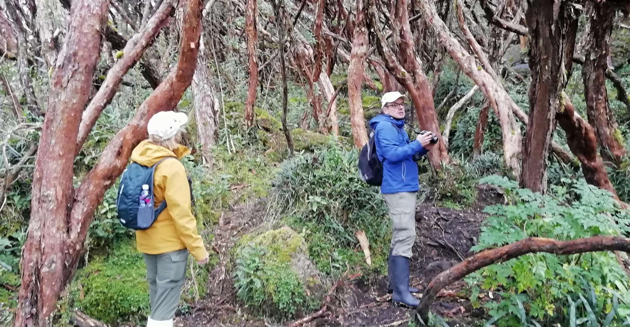 Cuenca, Ecuador, Cajas National Park Day Trip - Housity