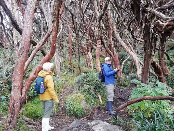 Cuenca Ecuador Dagtrip Nationaal Park Cajas Getyourguide 7167