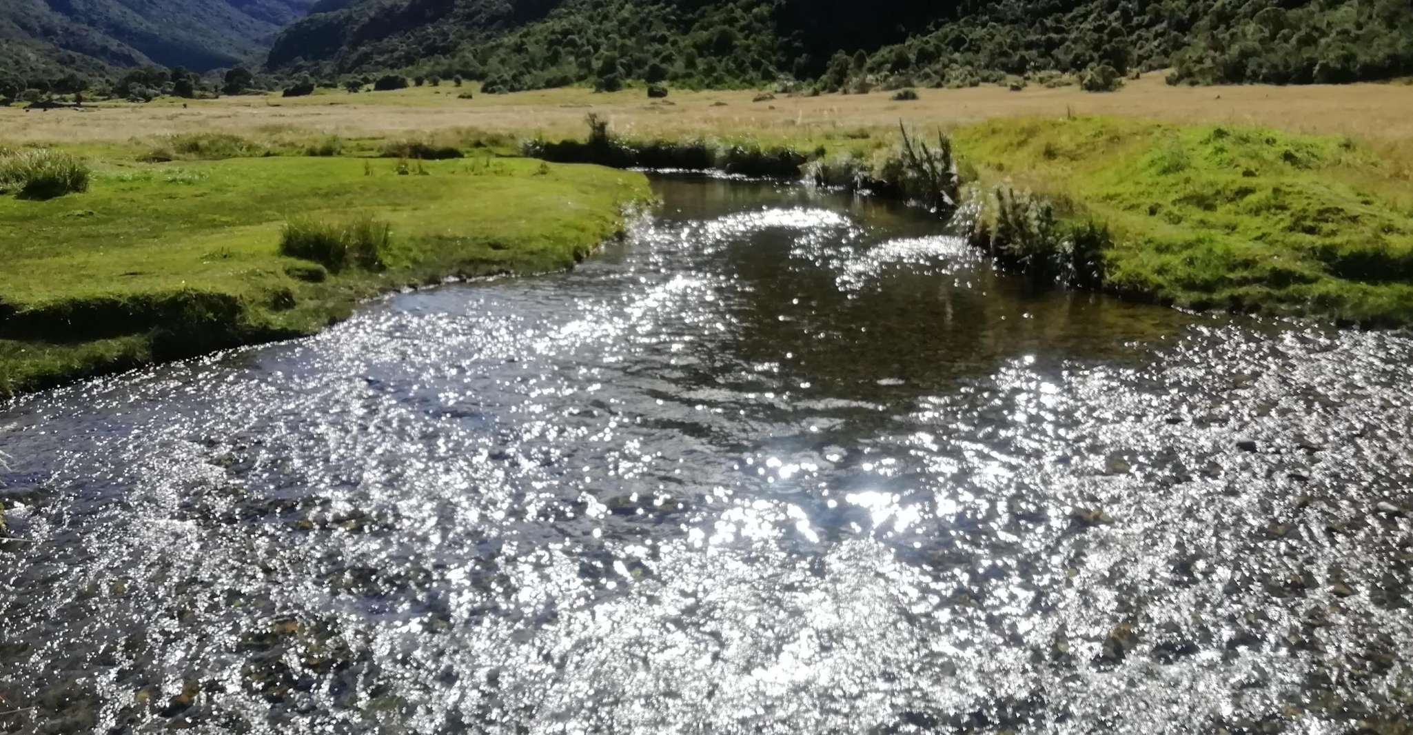 Cuenca, Ecuador, Cajas National Park Day Trip - Housity