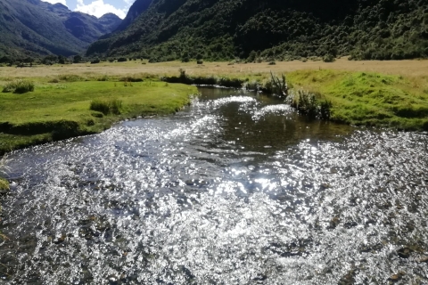 Cuenca, Ekwador: jednodniowa wycieczka do Parku Narodowego CajasPrywatna wycieczka jednodniowa