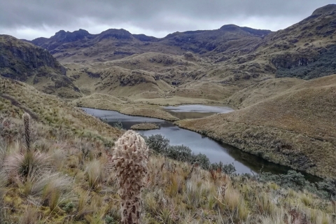Cuenca, Équateur : excursion d'une journée au parc national de CajasExcursion privée d'une journée