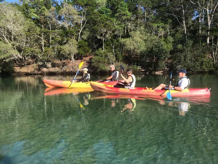 Byron Bay Brunswick River Scenic Kayak Tour GetYourGuide