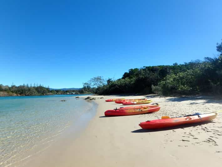 Byron Bay Kajaktour auf dem Brunswick River GetYourGuide