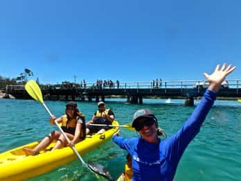 Byron Bay: Brunswick River Scenic Kayak Tour