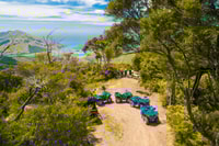 Nelson, Guided Quad Biking Tour Through Forest and Farmland - Housity