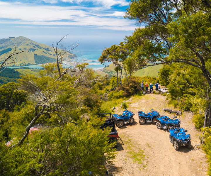 Nelson: Guided Quad Biking Tour Through Forest and Farmland