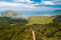 Nelson, Guided Quad Biking Tour Through Forest and Farmland - Housity