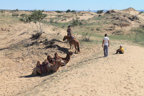 Oulan-Bator : excursion d'une journée dans le semi-désert de Gobi et balade à dos de chameau ou à cheval