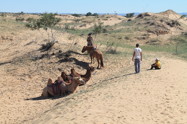 Ulaanbaatar: excursión de un día al desierto de Semi-Gobi y paseo en camello o caballo