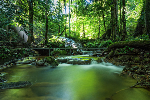 Krabi : Rafting en eaux vives, cascade et temple des singes